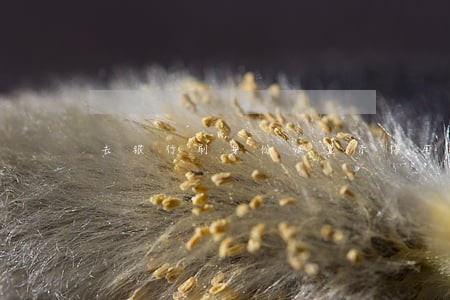去银行刷身份证显示信用卡逾期 去银行刷身份证显示信用卡逾期