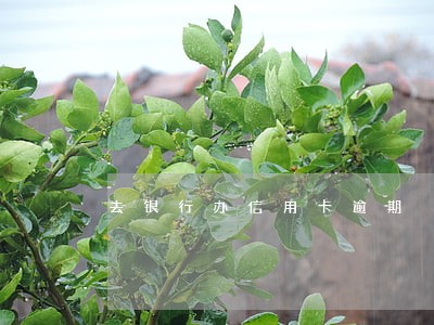 去银行办信用卡逾期