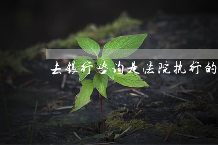 去银行咨询是法院执行的 去银行咨询是法院执行的