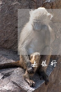 去银行贷款有逾期怎么处理