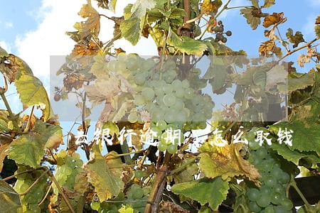去银行逾期了怎么取钱 去银行逾期了怎么取钱