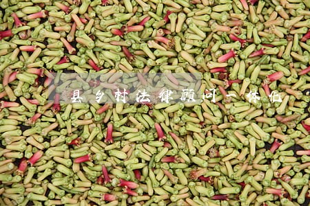 县乡村法律顾问一体化 县乡村法律顾问一体化