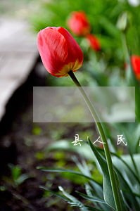 县人民法院是什么级别 县人民法院是什么级别