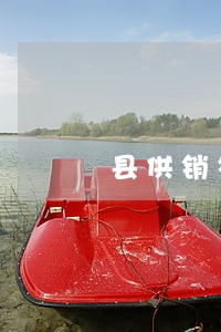 县供销社开展法律知识培训讲座 县供销社开展法律知识培训讲座