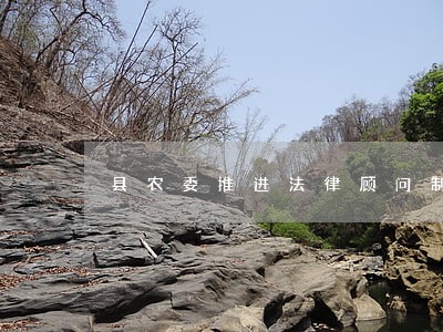 县农委推进法律顾问制度