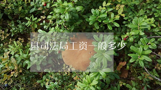 县司法局工资一般多少 县司法局工资一般多少