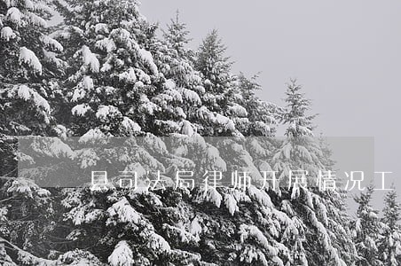 县司法局律师开展情况工作总结 县司法局律师开展情况工作总结