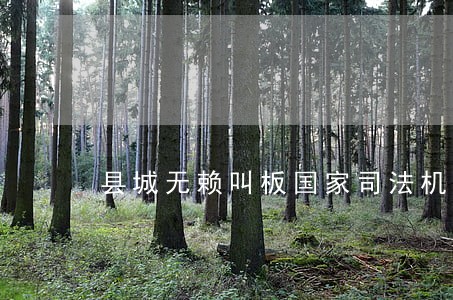 县城无赖叫板国家司法机关 县城无赖叫板国家司法机关