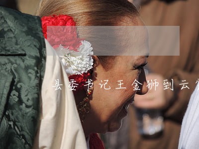 县委书记王金狮到云霄法院调研 县委书记王金狮到云霄法院调研
