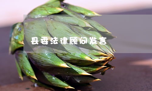 县委法律顾问发言 县委法律顾问发言