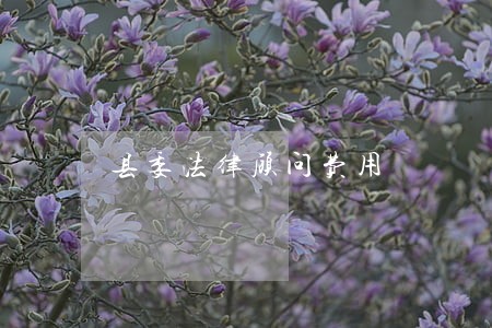 县委法律顾问费用 县委法律顾问费用