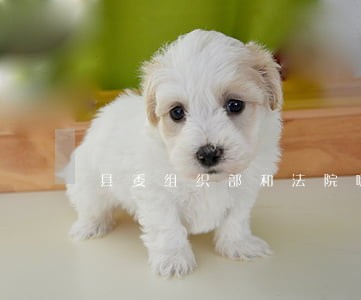 县委组织部和法院哪个好 县委组织部和法院哪个好