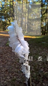 县委调研工作