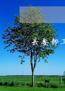 县委部工作计划范文