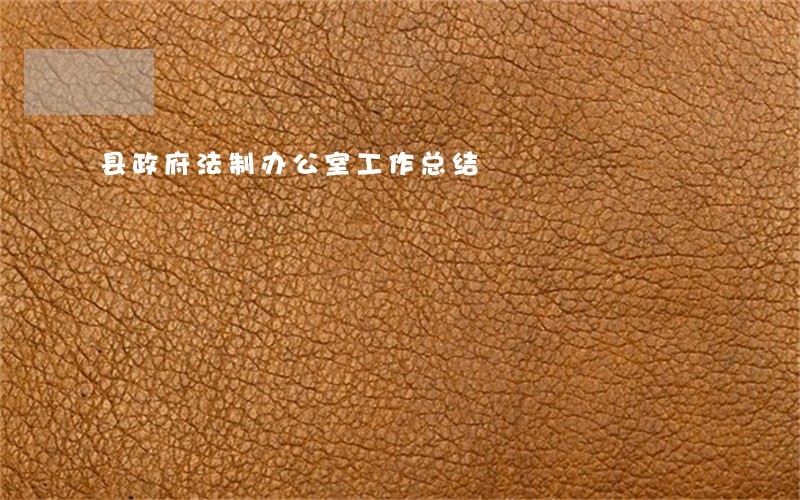 县政府法制办公室工作总结 县政府法制办公室工作总结