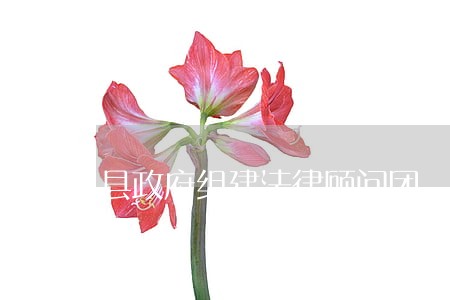 县政府组建法律顾问团