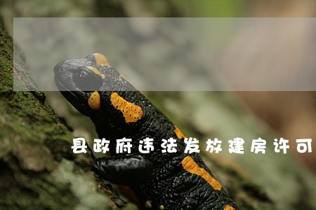县政府违法发放建房许可证 县政府违法发放建房许可证