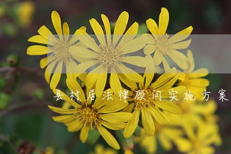 县村居法律顾问实施方案 县村居法律顾问实施方案