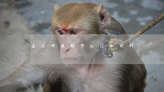 县法律援助中心汇报材料 县法律援助中心汇报材料