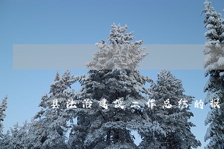 县法治建设工作总结的报告