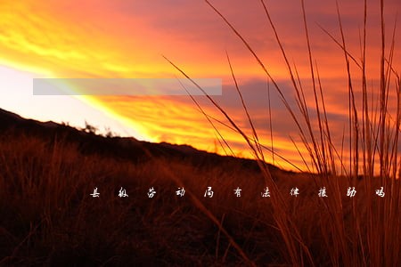 县级劳动局有法律援助吗 县级劳动局有法律援助吗