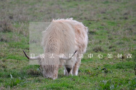 县级法律援助中心如何改革 县级法律援助中心如何改革
