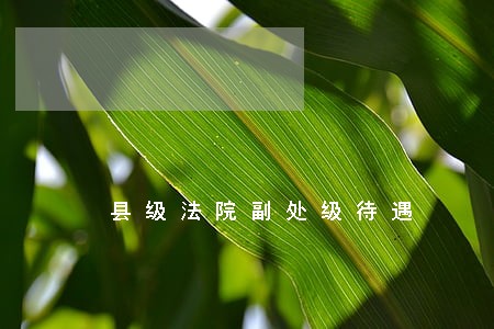 县级法院副处级待遇 县级法院副处级待遇