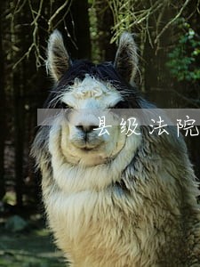 县级法院办公室主任前景