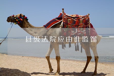 县级法院应由谁监馏 县级法院应由谁监馏