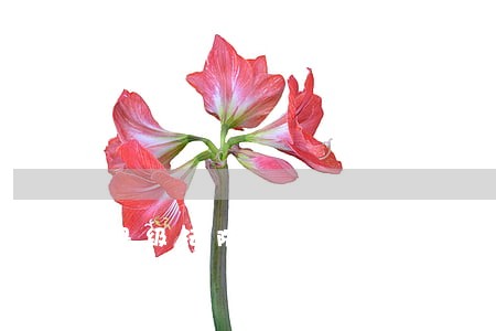 县级法院有宿舍吗 县级法院有宿舍吗