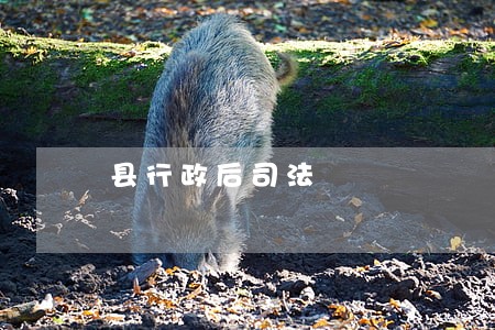 县行政后司法 县行政后司法