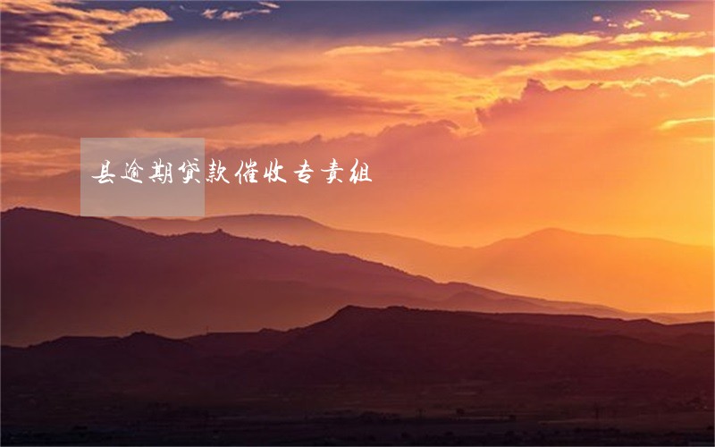 县逾期贷款催收专责组 县逾期贷款催收专责组