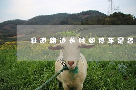 县道路边长时间停车是否违法 县道路边长时间停车是否违法