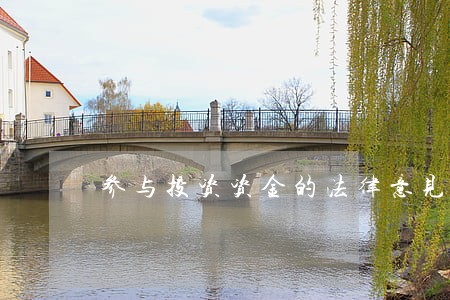 参与投资资金的法律意见书