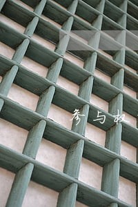 参与权的法规规定 参与权的法规规定
