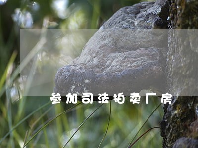 参加司法拍卖厂房 参加司法拍卖厂房