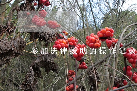 参加法律援助的操作记录 参加法律援助的操作记录