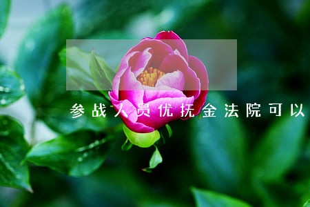 参战人员优抚金法院可以冻结吗 参战人员优抚金法院可以冻结吗