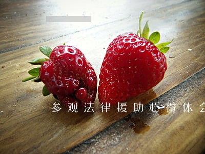 参观法律援助心得体会