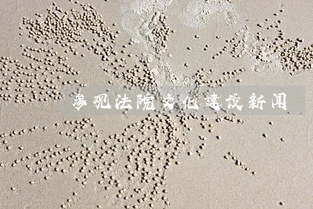 参观法院文化建设新闻 参观法院文化建设新闻
