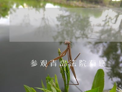 参观青岛法院有感 参观青岛法院有感