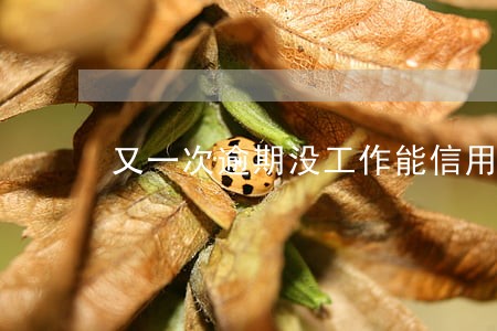 又一次逾期没工作能信用卡吗 又一次逾期没工作能信用卡吗