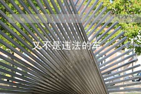 又不是违法的车 又不是违法的车