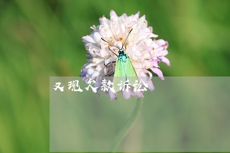 又现欠款诉讼 又现欠款诉讼