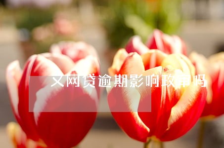 又网贷逾期影响政审吗 又网贷逾期影响政审吗