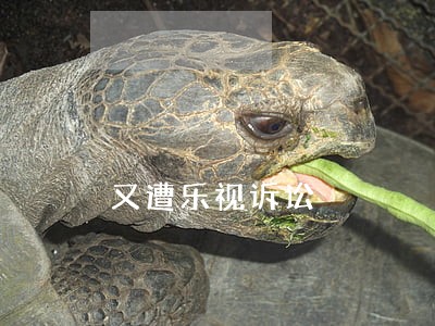 又遭乐视诉讼 又遭乐视诉讼