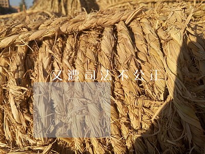 又遭司法不公正 又遭司法不公正