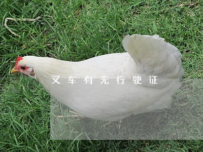 叉车有无行驶证 叉车有无行驶证