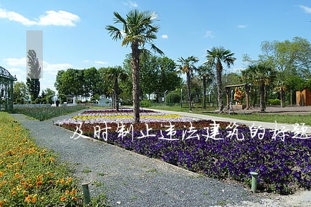 及时制止违法建筑的标题 及时制止违法建筑的标题