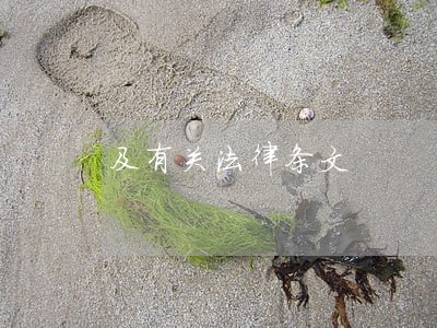 及有关法律条文 及有关法律条文